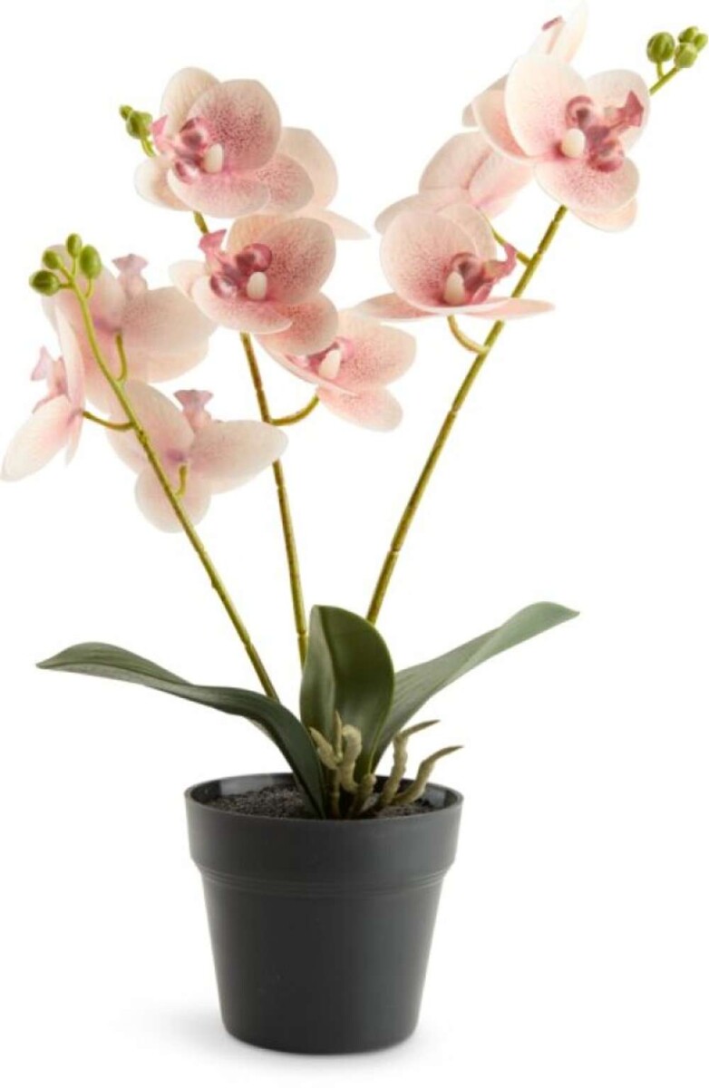 Planta Artificial Gudjon H35 Cm - Orquidea 