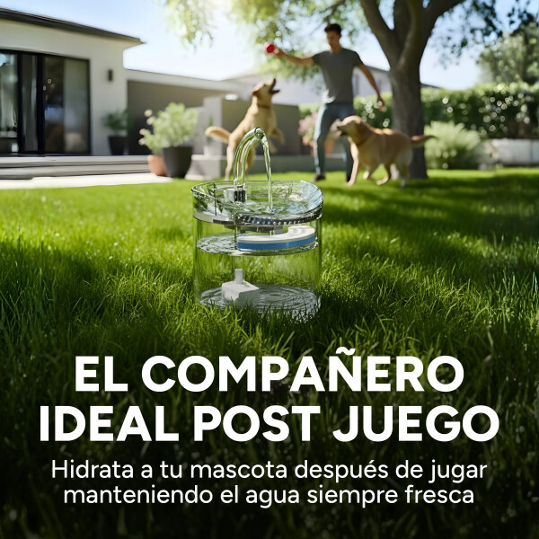 Fuente De Agua Bebedero Para Mascotas 2 Litros Recirculación Variante Transparente
