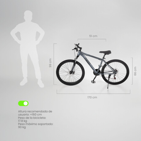 Bicicleta Montaña 26 Cuadro Acero Freno Disco 21 Cambios Gris