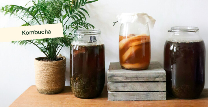 Kombucha: ¿qué es y por qué sumarla a tu día?