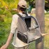 Mochila Bolso Trasportadora Malla Mascota Perros Gatos Viaje Mochila Bolso Trasportadora Malla Mascota Perros Gatos Viaje
