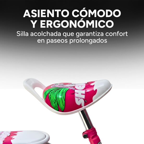 Bicicleta infantil Shengdi Rodado 16 Canasto Parrilla Hadas Color Rosa Oscuro