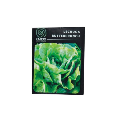 Semillas de lechuga butter crunch Semillas Lechuga Butter Crunch