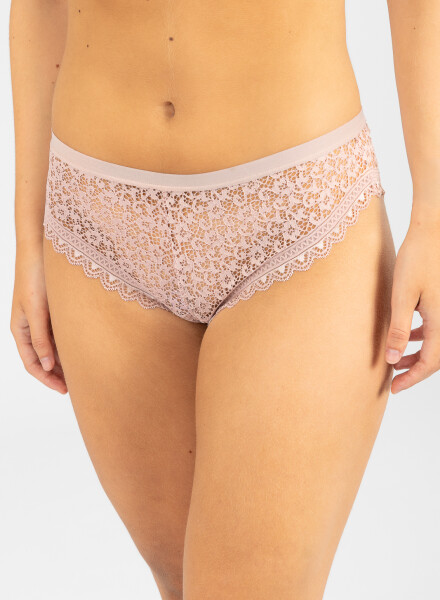 Colaless gazania Beige