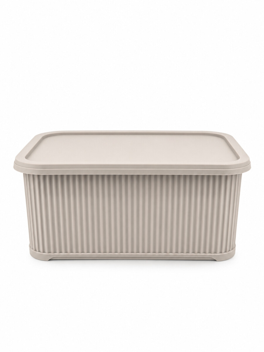 CAJA ORGANIZADORA C/ TAPA - BEIGE 