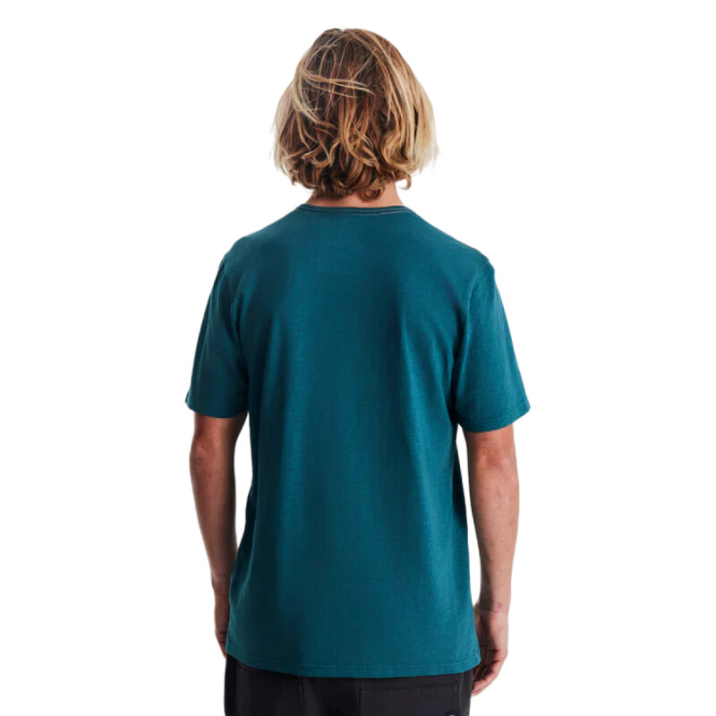 Remera Roark Well Worn Midweight Organic Remera Roark Well Worn Midweight Organic