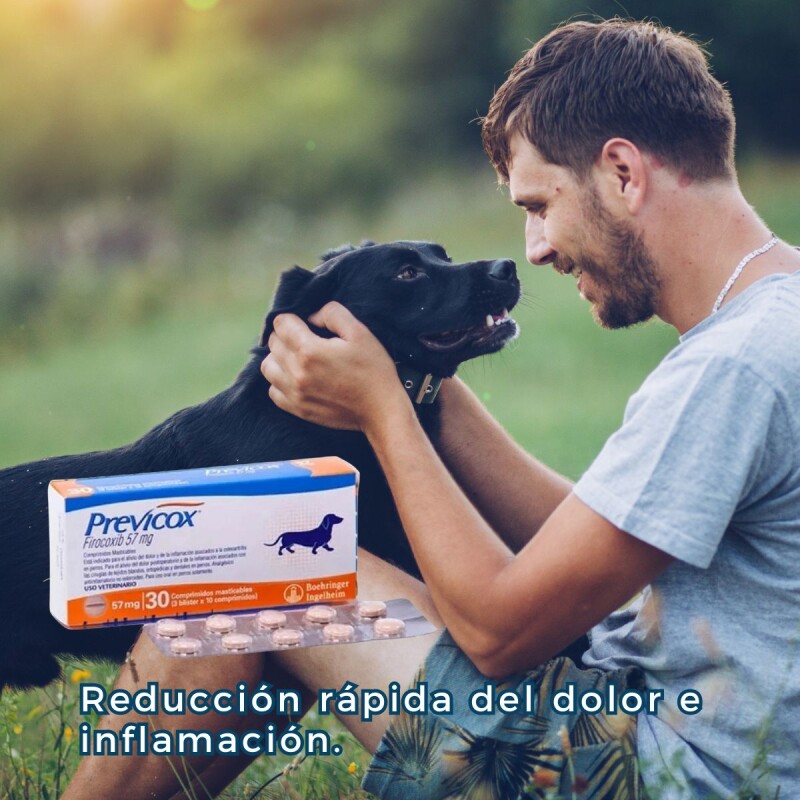 PREVICOX 57 MG X BLISTER DE 10 COMPRIMIDOS