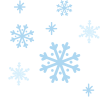 ELEGIDOS INVIERNO