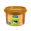 DULCE DE LECHE CONAPROLE 250G Dulce De Leche Conaprole 250g
