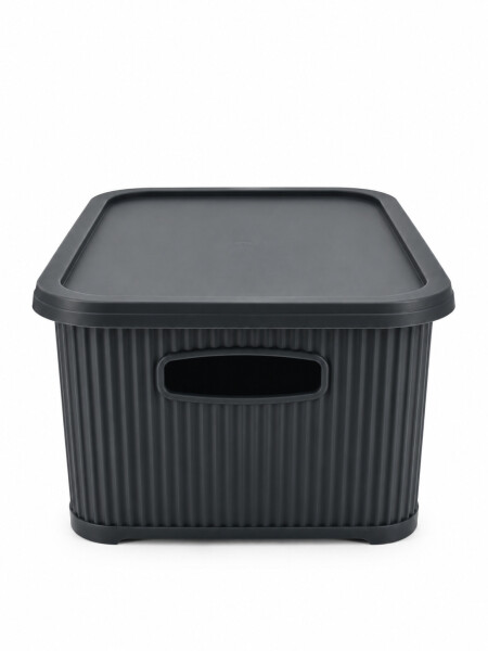 CAJA ORGANIZADORA C/ TAPA NEGRO.