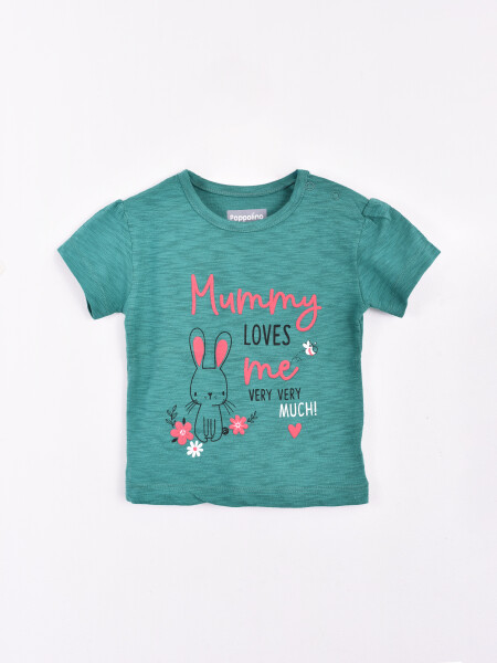 REMERA POLONIA VERDE