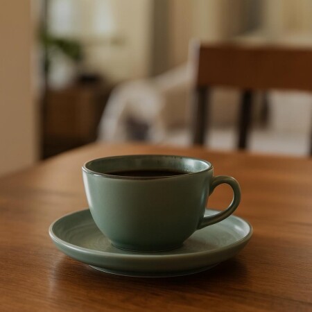 TAZA DE TÉ 200ML CON PLATO LINEA PACIFICO TAZA DE TÉ 200ML CON PLATO LINEA PACIFICO