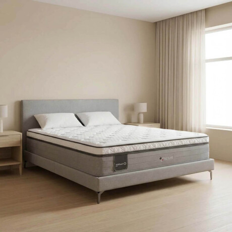 SOMMIER RESORTES RENAISSANCE A 2 PLAZAS