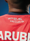 CAMISETA GOLERO OFICIAL<br /> 2025 Nacional Oficial Hombre S49