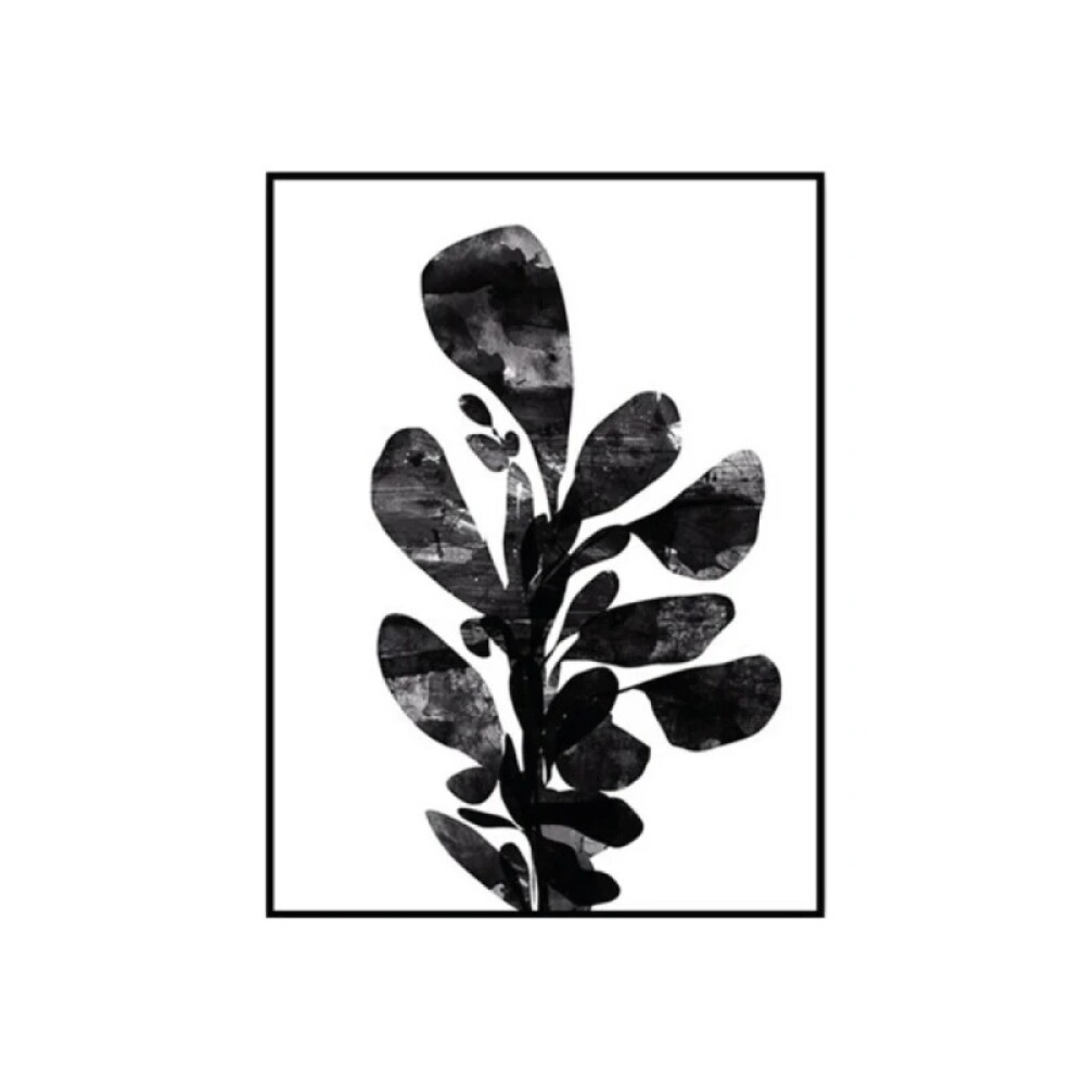 Cuadro Cancas 30x40cm - Rama Cuadro Cancas 30x40cm - Rama