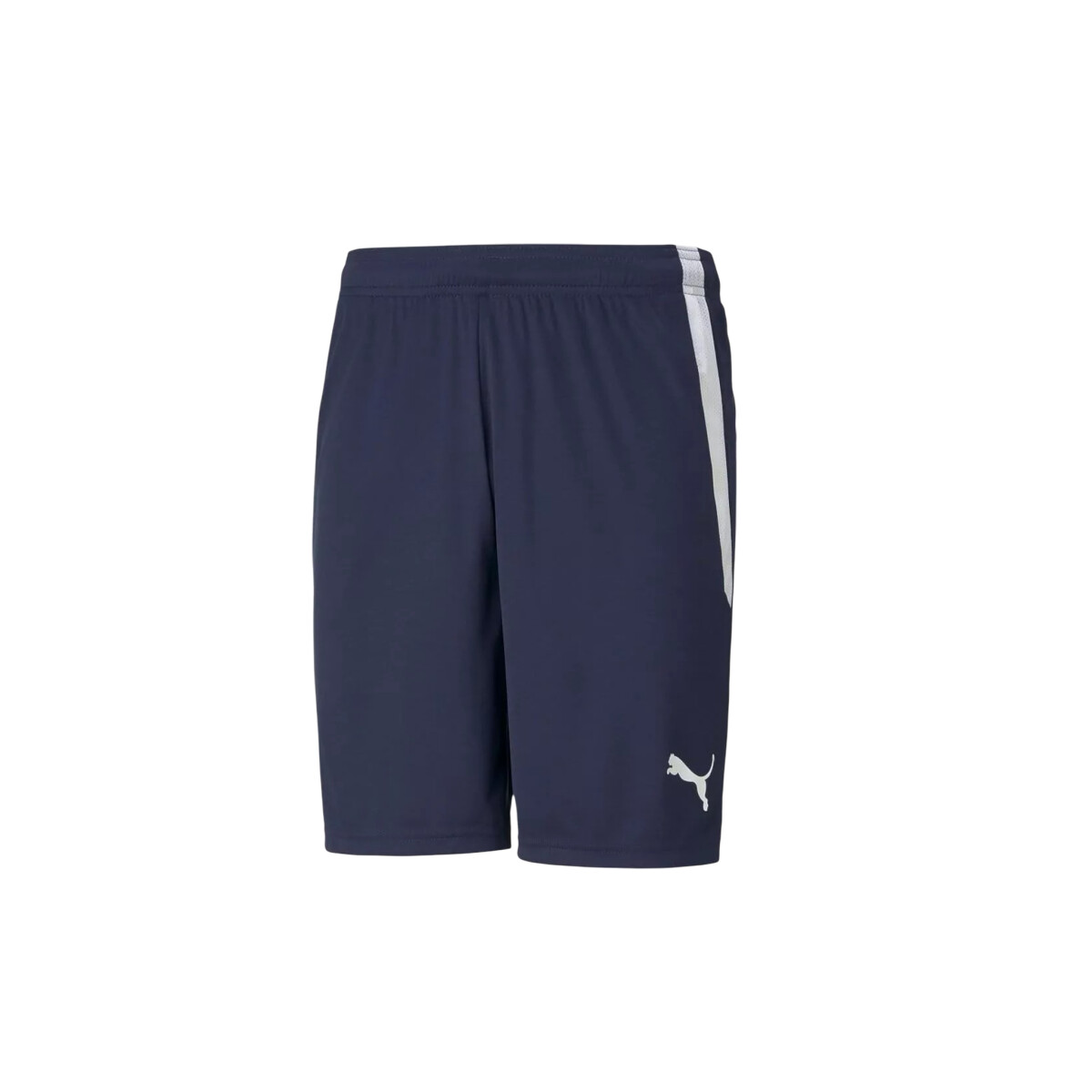 SHORT PUMA TEAM LIGA - Navy 