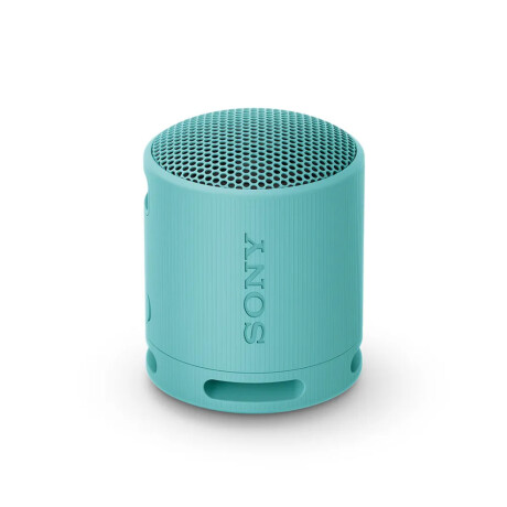 Parlante Inalámbrico Portatil Sony SRS-XB100 Azul