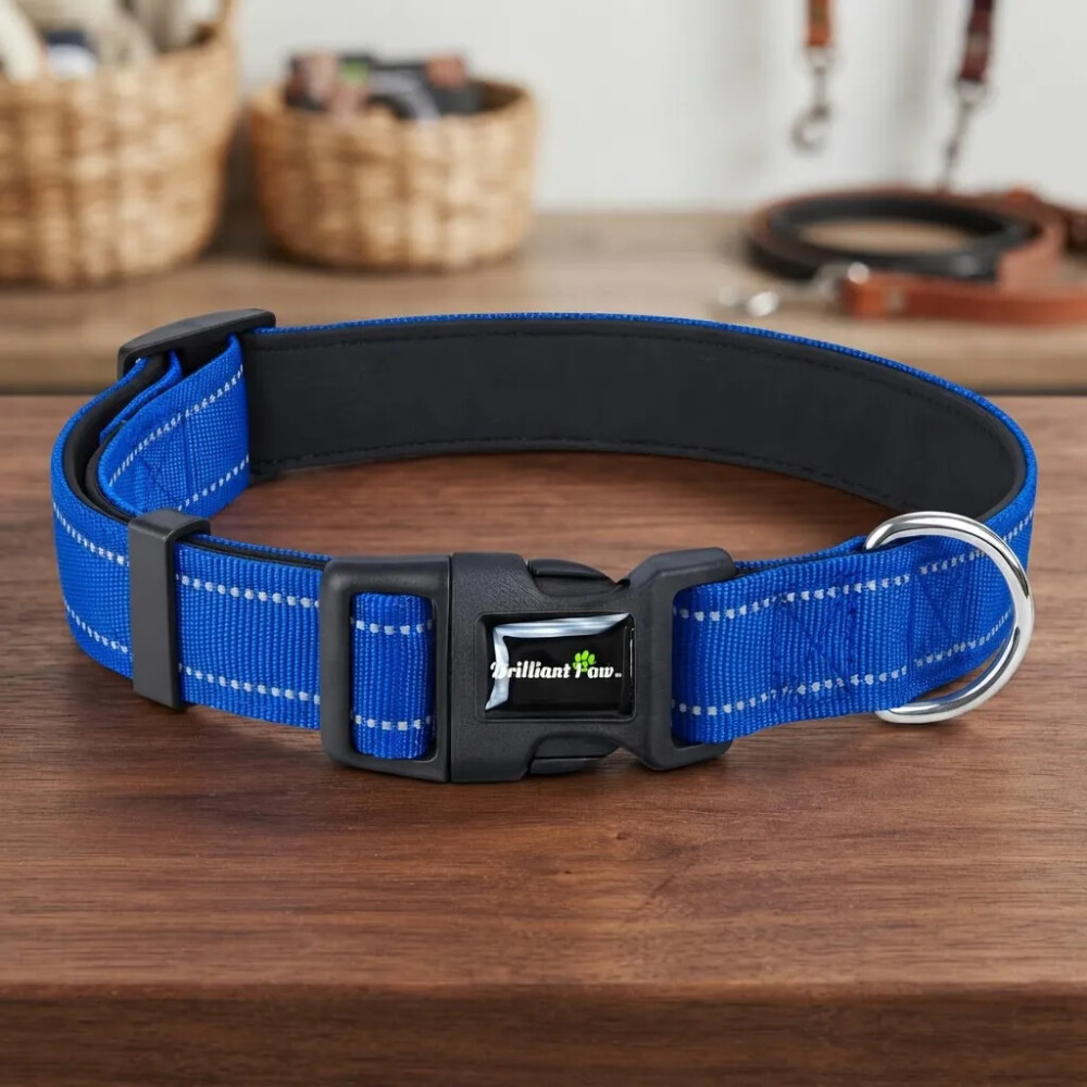 Collar Para Mascotas Talle M Refractario AZUL