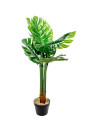 Planta Monstera 85cm Color Unico