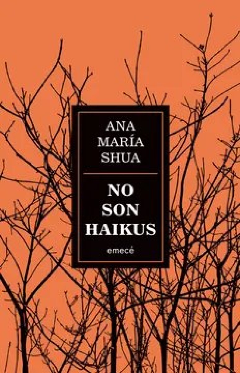 NO SON HAIKUS 