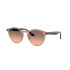 Ray-Ban Black on Gold Beige traslucido