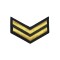 Grado de cadetes Escuela Nacional de Policía Sargento