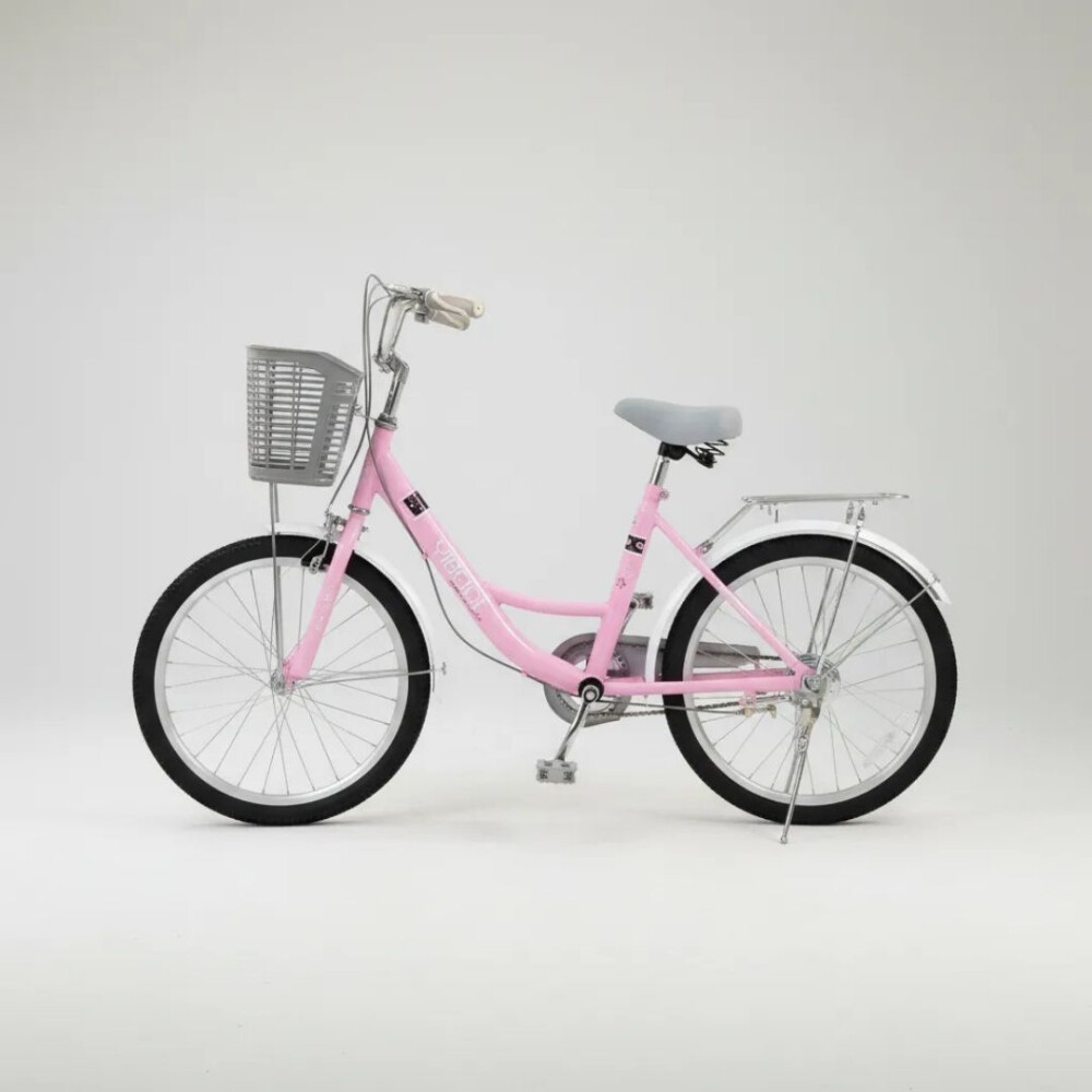 Bicicleta Rodado 20 Con Canasto Y Parrilla ROSA