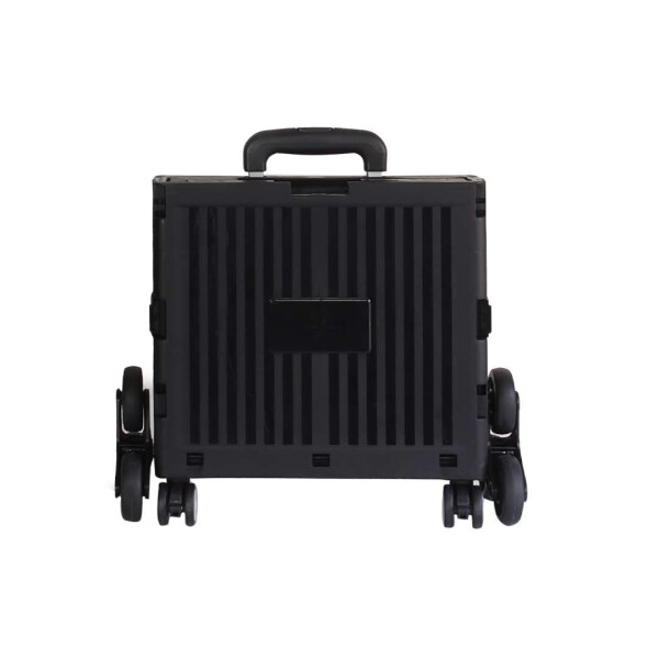 Carro Caja Plegable Ruedas Multiuso Hierro Carrito Escalera Variante Color Negro