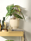 Planta artificial MARIUS Ø38xA42cm Planta artificial MARIUS Ø38xA42cm