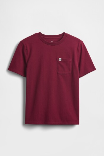 Remera Bolsillo Logo Gap Niño Red Delicious