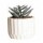 Mini Planta Artificial Decorativa Maceta Acanalada Cemento Gris