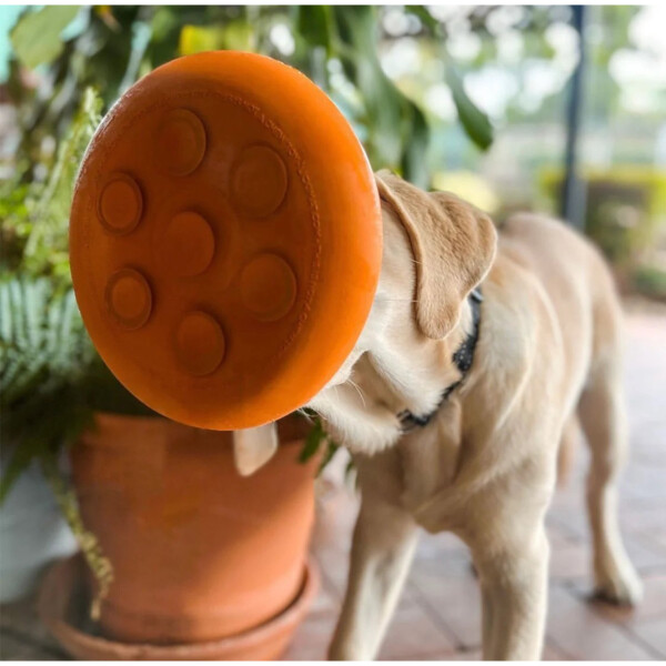 Plato Alfombra Lamer Anti Ansiedad Estres Comida Perro Gato Variante Color Naranja
