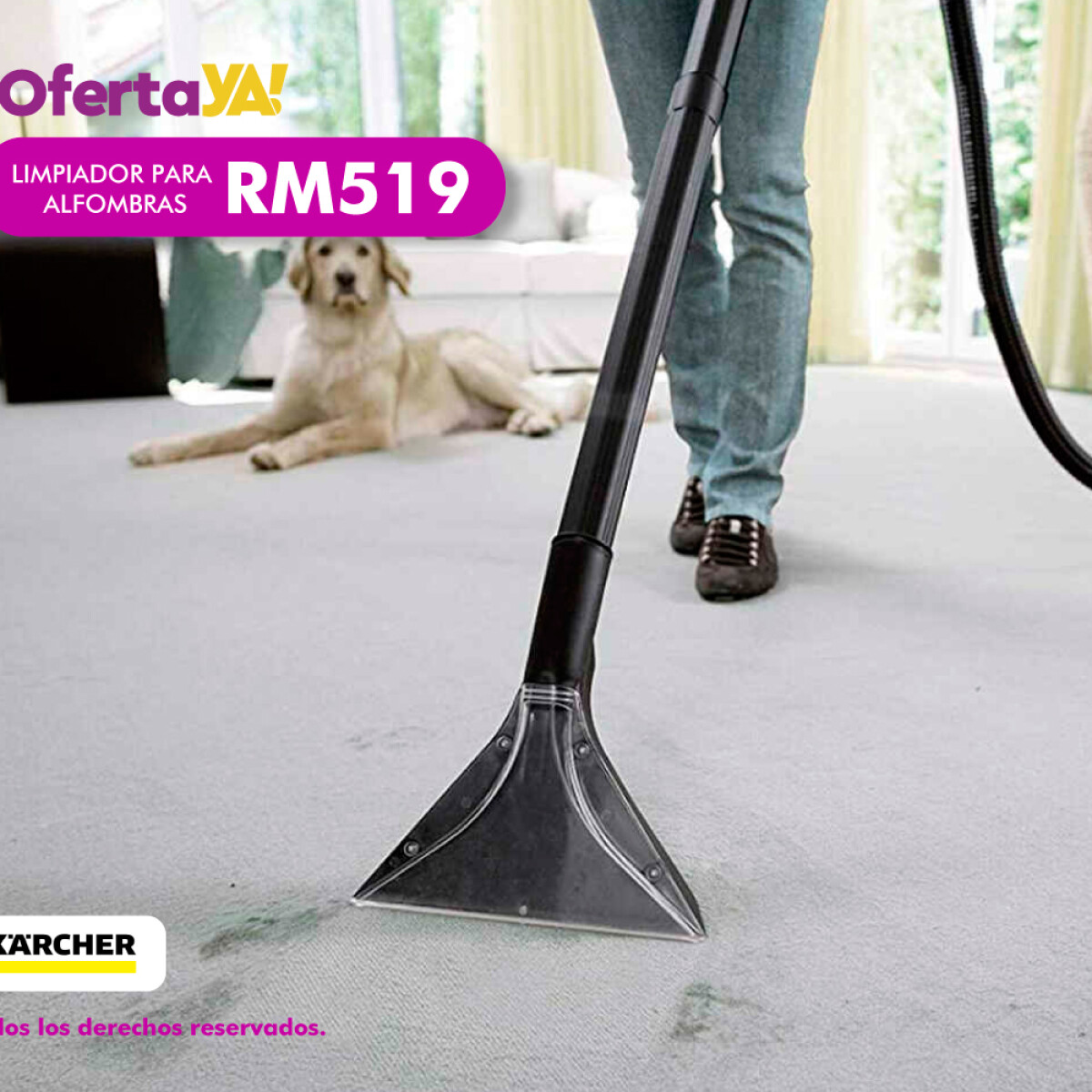 Detergente Limpiador Alfombras Karcher RM 519 SE4001 Detergente Limpiador Alfombras Karcher RM 519 SE4001