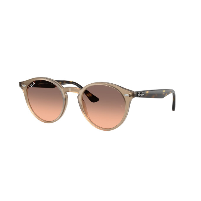 Ray-Ban Black on Gold Beige traslucido