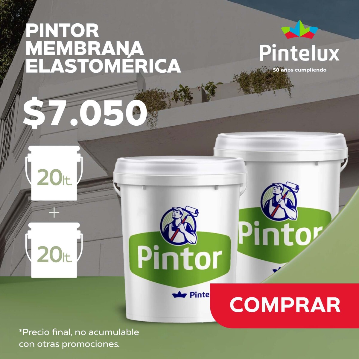 MEMBRANA ELASTOMERICA PINTOR 20+20 WEB 