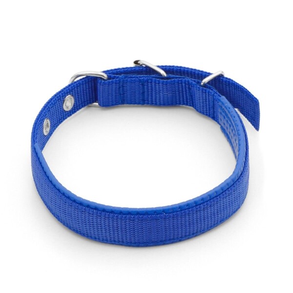 Collar Ajustable Reforzado Hebilla Nylon Perro Gato Mediano Variante Color Azul