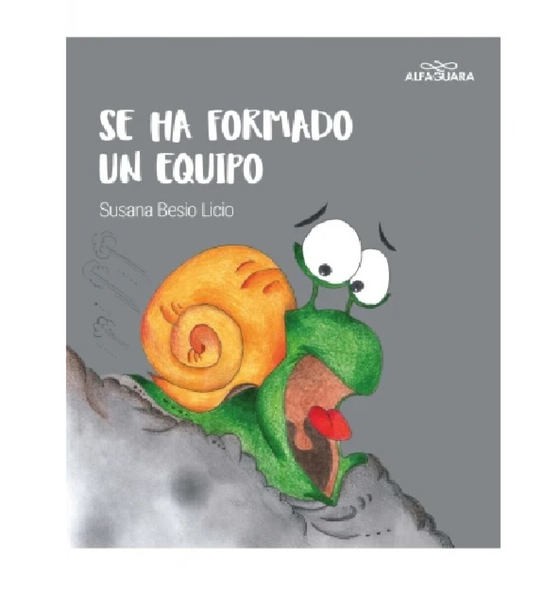 Libro SE HA FORMADO UN EQUIPO Susana Besio Licio 