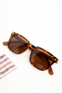 Lentes De Sol Polarizados Marron