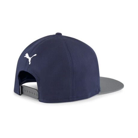 Flatbrim Cap 02385802 Azul/Gris