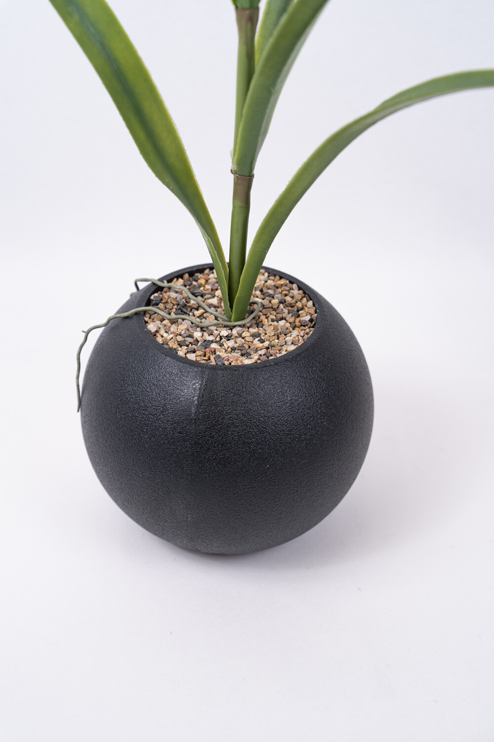 Planta Orquídea Color Unico