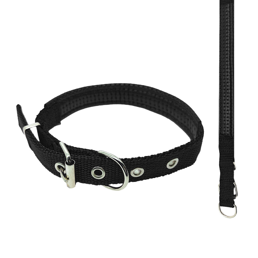 Collar 2cm Perros Gatos Interior Acolchado Color negro