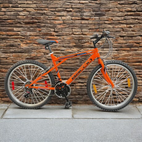 Bicicleta Baccio Alpina Man Montaña rodado 24 con 21 cambios NEGRO/NARANJA