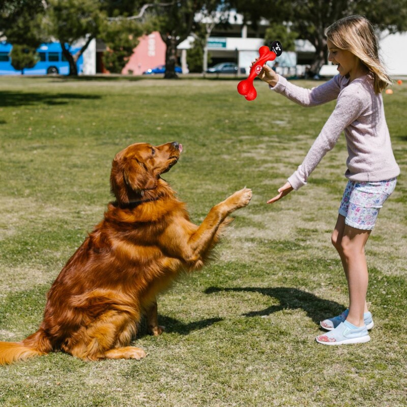JUEGUETE HUESO TORNEADO CHIFLE PARA PERRO JUEGUETE HUESO TORNEADO CHIFLE PARA PERRO