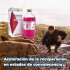 METABOLASE FRASCO 500 ML METABOLASE FRASCO 500 ML