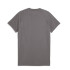 Remera de Hombre Puma Peñarol Evostripe Tee Gris - Amarillo