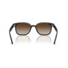 Ray Ban Rb4461d 710/13
