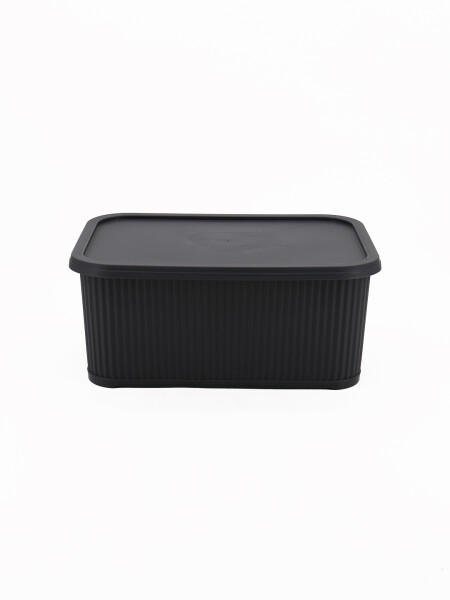 CAJA ORGANIZADORA CON TAPA GRIS
