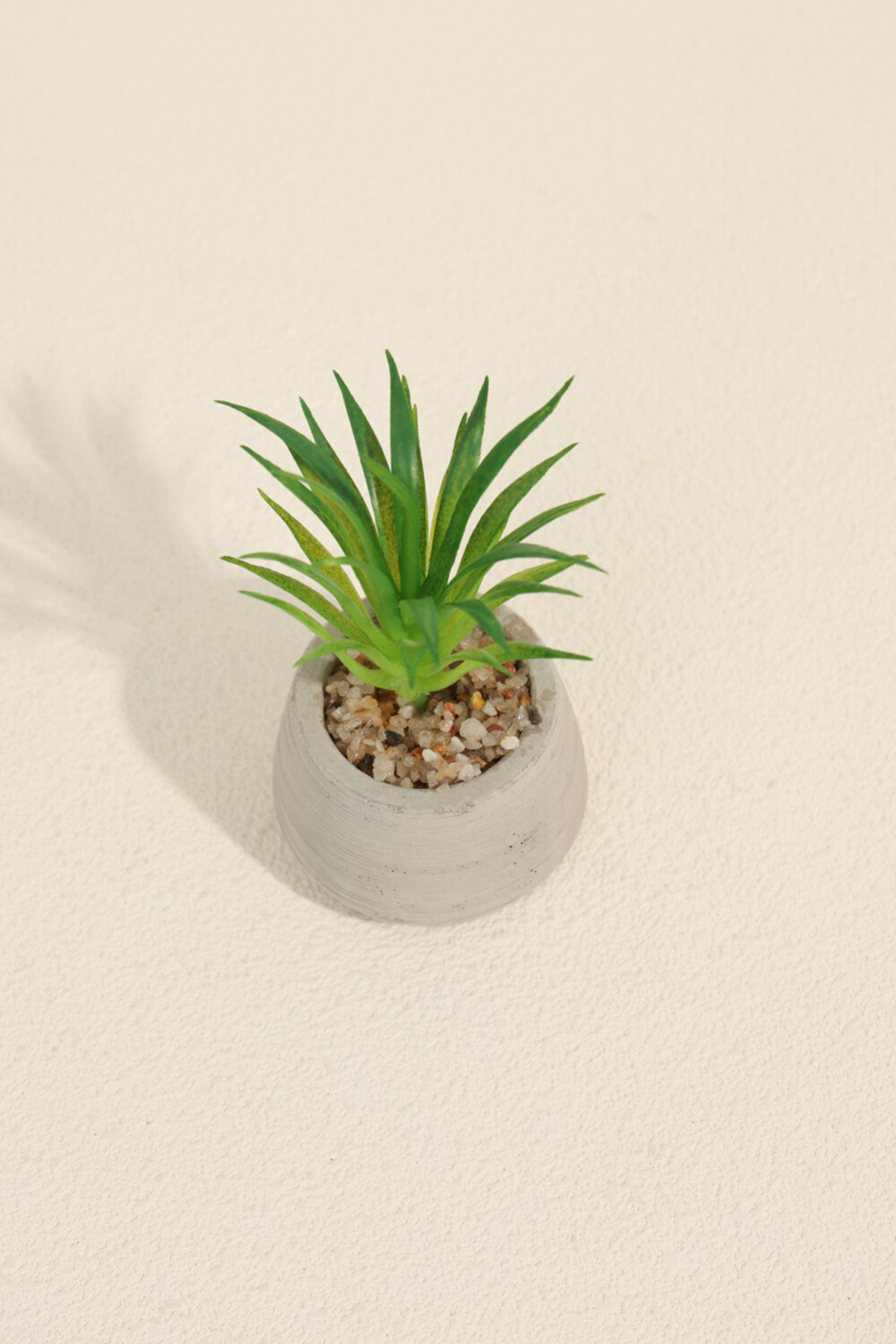 Planta Suculenta 694 Mini, Mix Color Unico