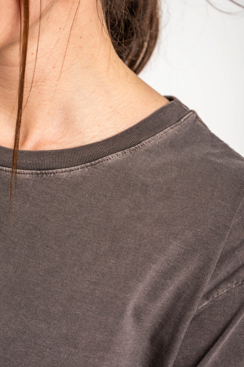 Remera Lisa Lavada Algodón Marron