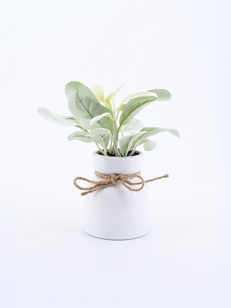 PLANTA CON MACETA - VERDE 
